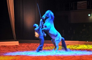 The Royal Horse Gala in der Stadthalle Rostock. Foto: Joachim Kloock