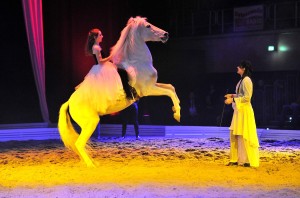 The Royal Horse Gala in der Stadthalle Rostock. Foto: Joachim Kloock