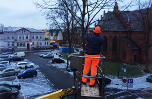 Baumfällarbeiten am Kirchenplatz in Warnemünde. Foto: Jan Heuer