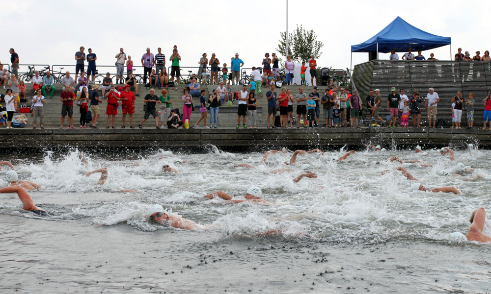 Das Rekordteilnehmerfeld  beim 13. Rostocker Warnowschwimmen in Aktion. Foto: Veranstalter