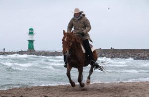 Pferd und Reiter beim 6. Warnemünder Wintervergnügen am Strand. Foto: Jens Schröder