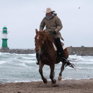 Pferd und Reiter beim 6. Warnemünder Wintervergnügen am Strand. Foto: Jens Schröder