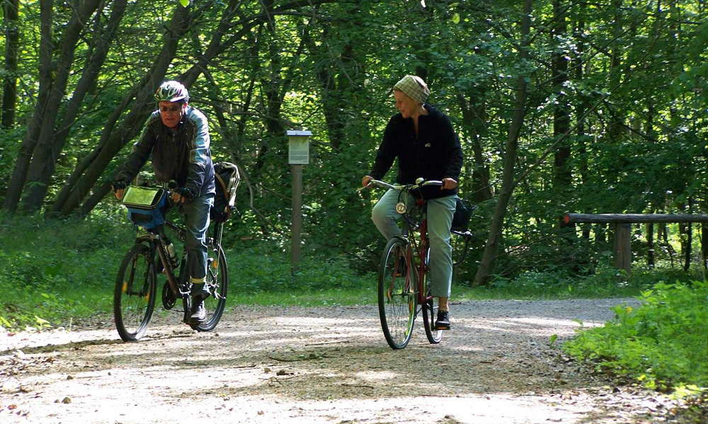 Die geführten Fahrradtouren mit dem ADFC gehören zu den beliebtesten Aktivitäten in der Rostocker Heide. Foto: ADFC Rostock