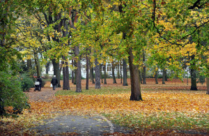 Kurpark Warnemünde im Herbst. Foto: Joachim Kloock
